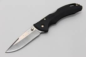 Нож складной Buck Bantam BLW cat.5761