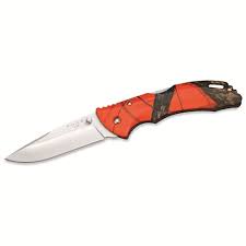 Нож складной Buck Bantam BLW cat.3895 