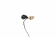 61FEmv8nz3L._SL1500_ 61FEmv8nz3L._SL1500_