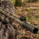 TG960_Alt3 TG960_Alt3