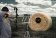 720002-Action-hay-bale