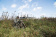 488029-ohota-ispolzovanie 488029-ohota-ispolzovanie